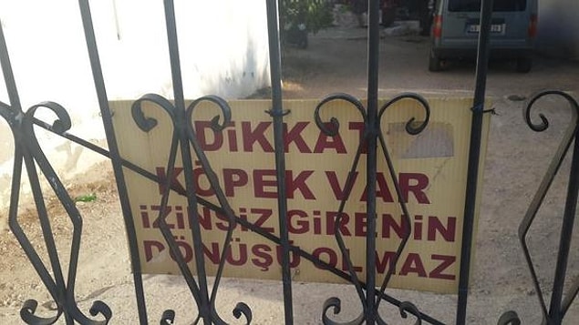 12. Hoşçakalın