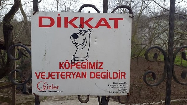 10. Güzel espri scoop