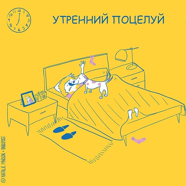 1. Так начинается день