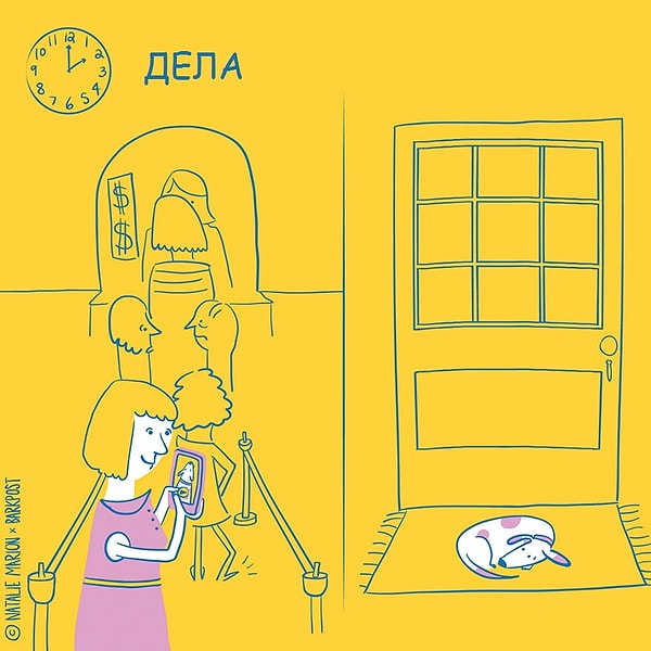 6. Когда выполняешь дневные поручения