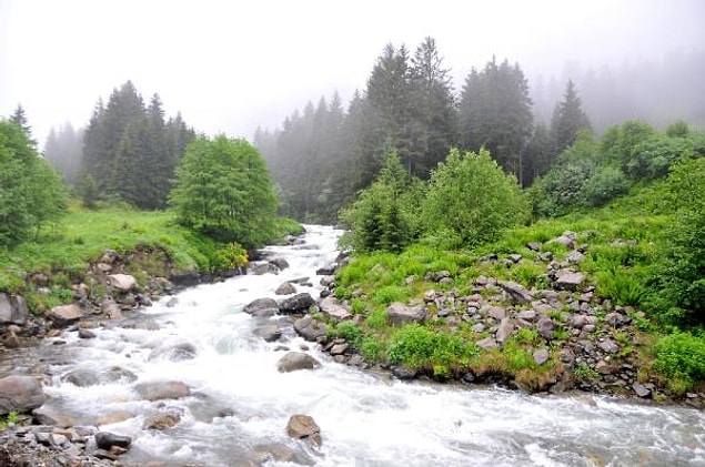 Doğayı Koruma Vakfı (WWF) tarafından korumaya alınması gereken 200 ekolojik bölge arasında gösterilmişti