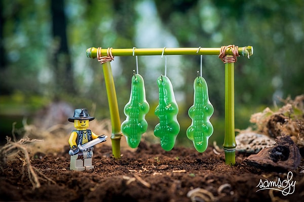 4. Крокодил Данди