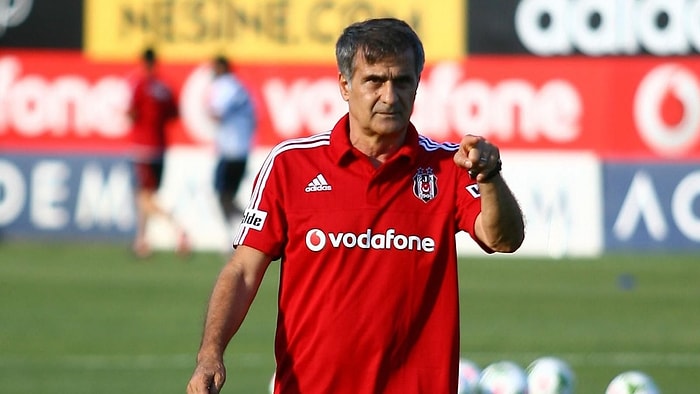 Şenol Güneş, Beşiktaş ile Kariyerinin Zirvesine Çıkacak