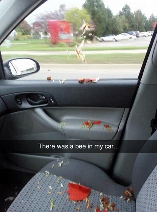 3. Prepare yourself to carpool with bees.