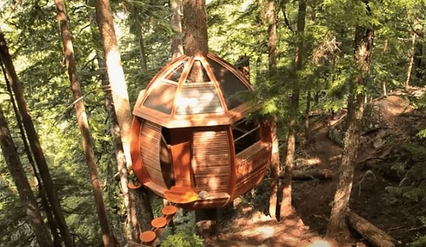 12. Деревянный улей в Whistler Mountain