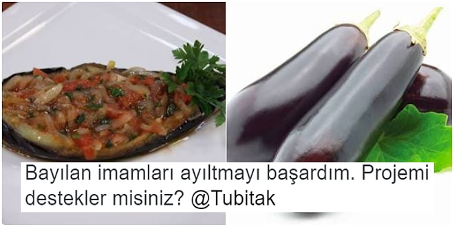 TÜBİTAK'ın Son Dönemlerdeki ''Bilimsel'' Projelerine Alternatif Proje Üreten 18 Kişi