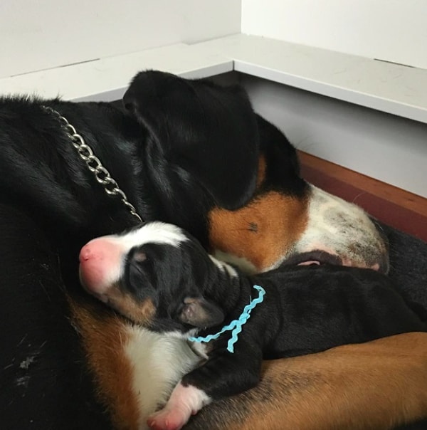 1. Сонные обнимашки с мамочкой