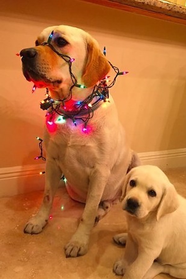 4. Малыш пытается подражать старшему брату