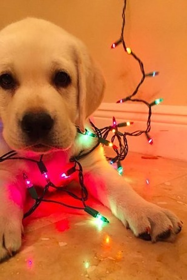 4. Малыш пытается подражать старшему брату