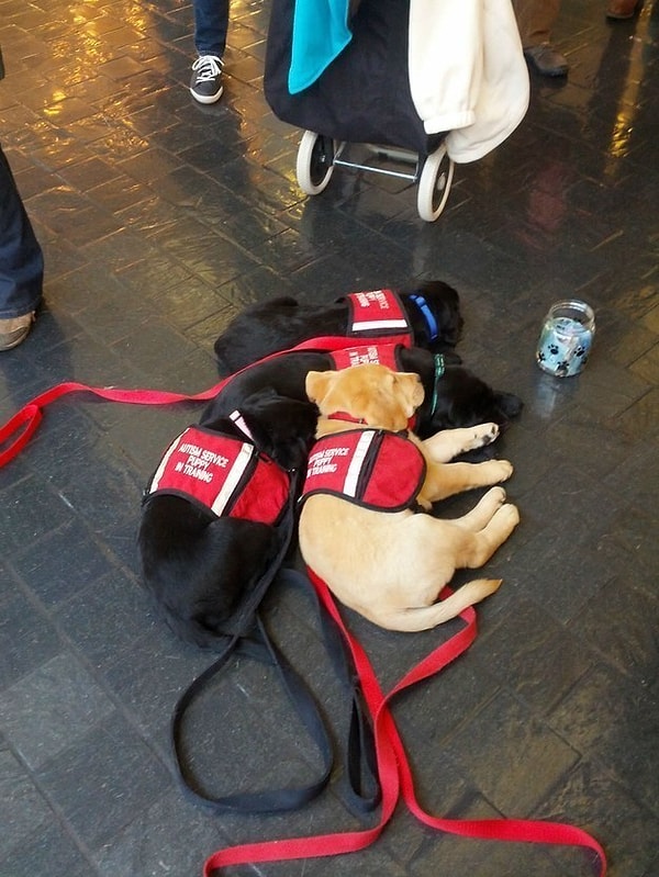 8. Команда решила устроить групповые обнимашки прямо на улице