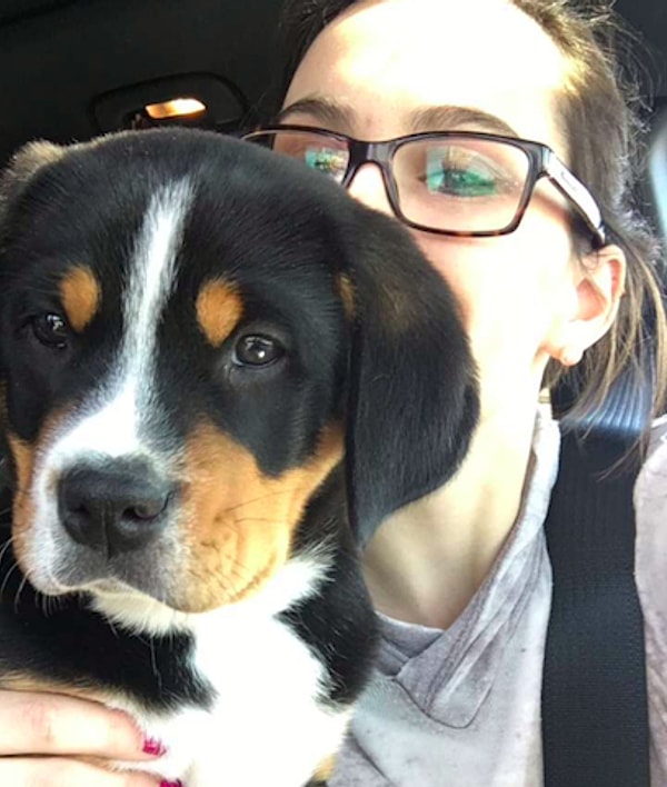 11. Малыш немного боится кататься на машине, поэтому прижался к лучшему другу