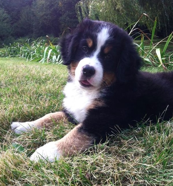 19. Наклонил голову так, будто хочу порисоваться