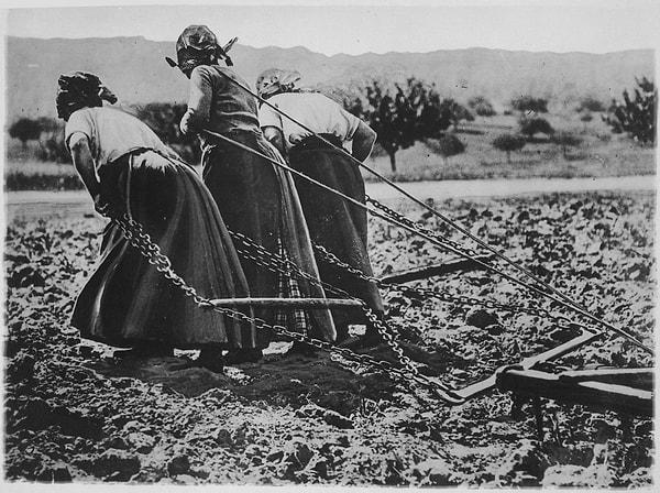 8. Birinci Dünya Savaşı sırasında bir tarlayı süren Fransız kadınlar.