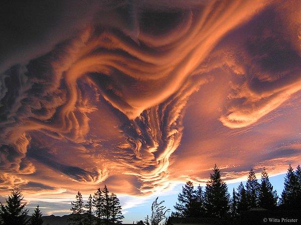 2. Yeni Zelanda Üzerinde Asperatus Bulutları