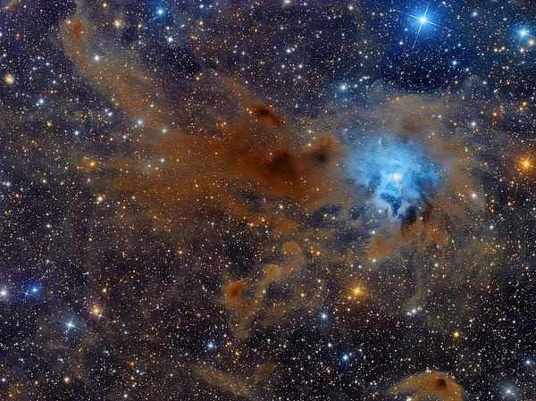 23. NGC 7023 : Süsen Çiçeği Bulutsusu