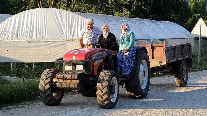 'Gündüz Çiftçi, Akşam Anne': Bilecik'te Tarımın Yükü Kadınların Sırtında