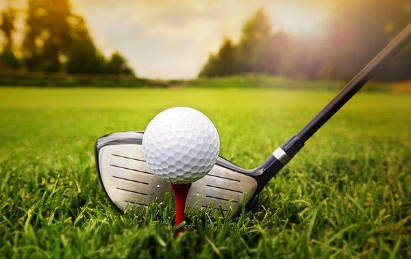 8. Bir golf topunda ortalama 336 oyuk vardır.