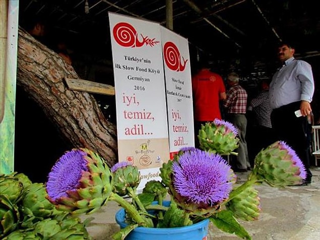 "Burada mevsimsiz, turfanda ürünler yetiştirilmeyecek"