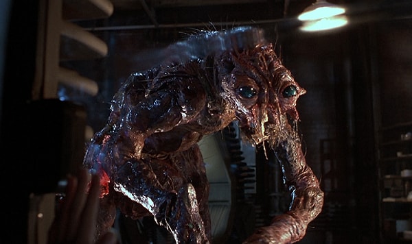 Вы Сет Брандл из "Мухи"!