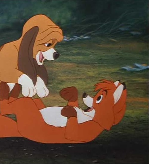 8. Эта парочка как будто пришла к нам из мультика «Лис и пес».