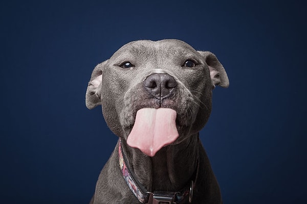 11. Но снимки все равно получились чудесные.