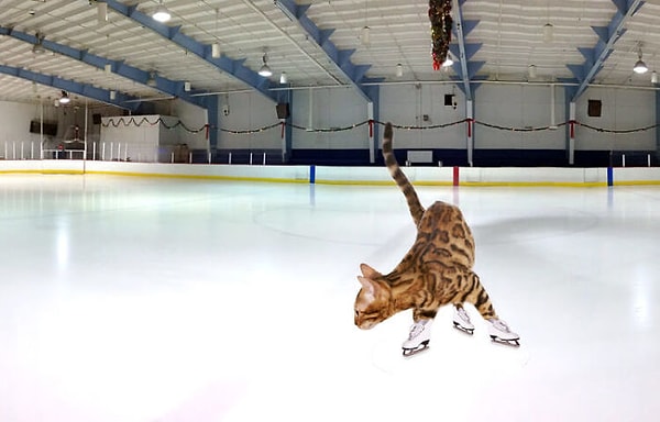 6. Симба-фигурист