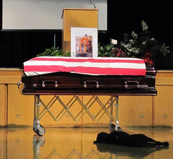 12. ABD'de, askerlik esnasında hayatını kaybeden sahibinin tabutu başında bekleyen sadık köpek Hawkeye.