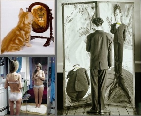 4. Иллюзия с самоанализом