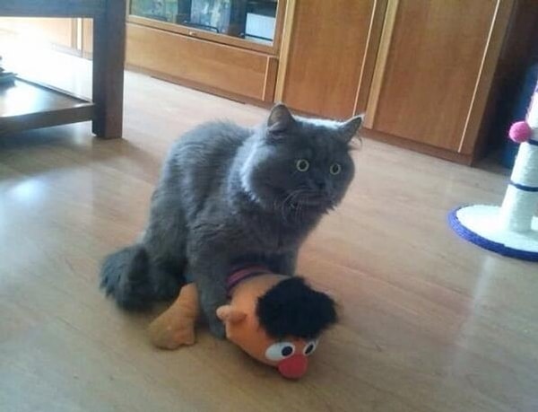 8. Эммммм... Это не то, о чем ты подумал