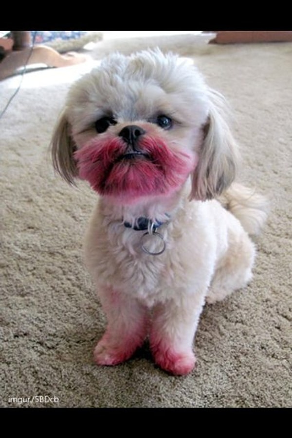 15. Ты уверен, что не трогал помаду?