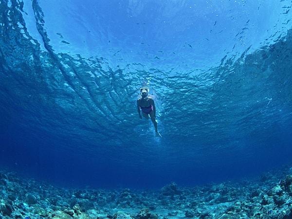 13. İyi bir yüzücü olduğunuzda suyun altında bambaşka bir evren keşfetme imkanına sahip olursunuz.