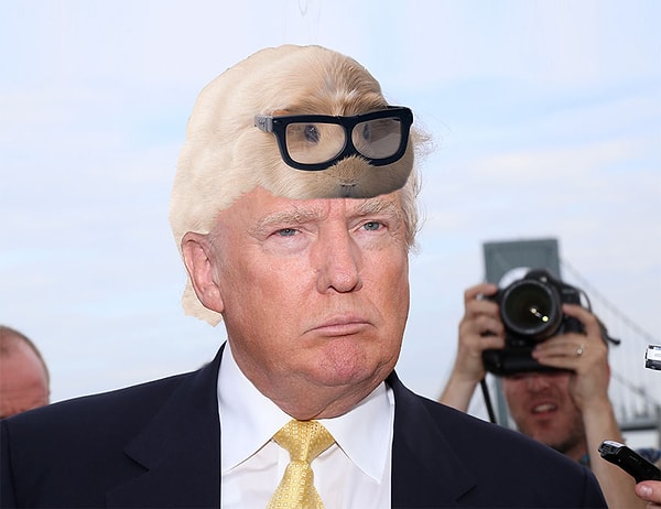 2. Бубу Трамп