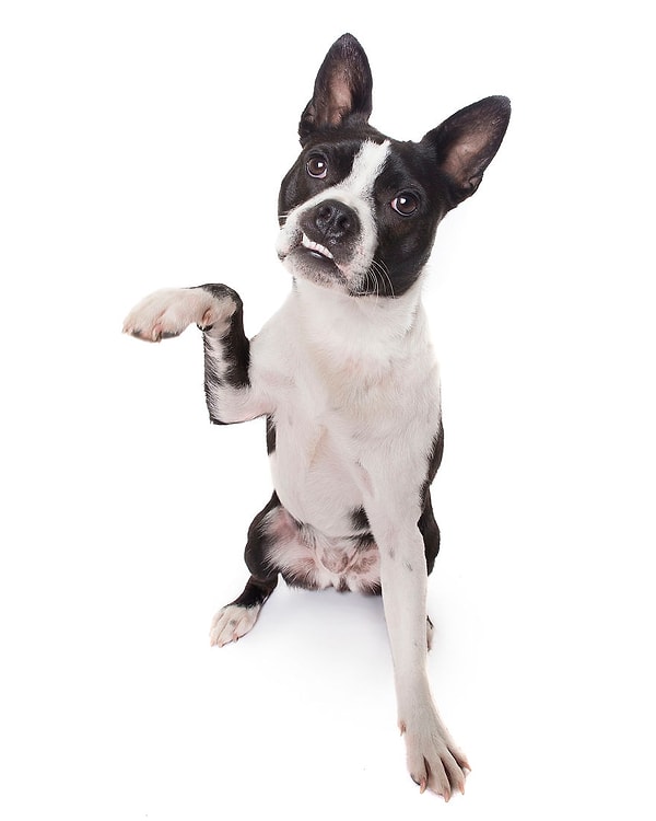 6. "Это большее, на что я способен"