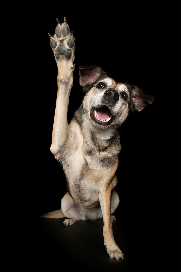 5. "Добейся успеха или проваливай"