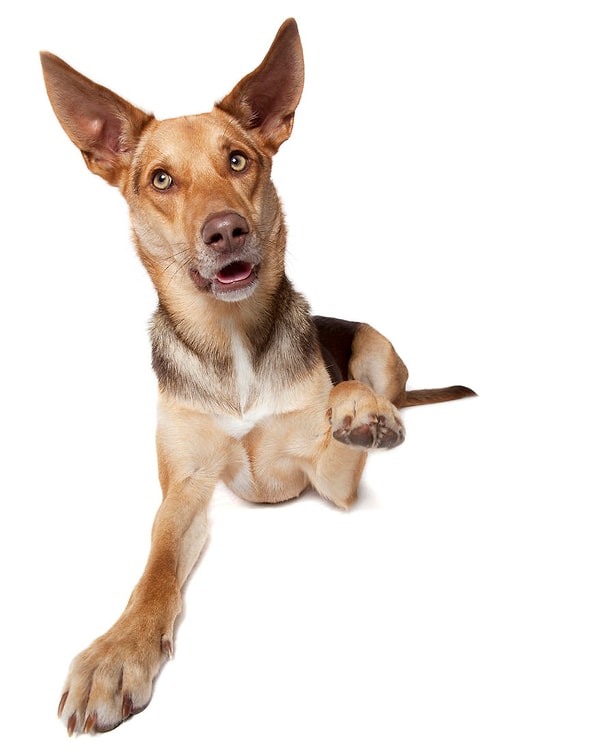 13. "Улыбаемся и машем"