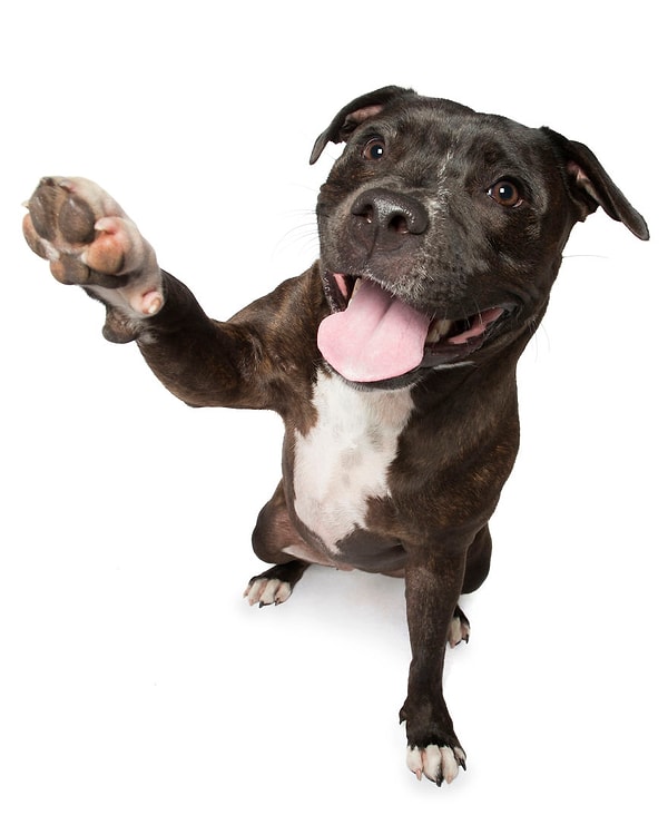 16. "Всегда пожалуйста!"