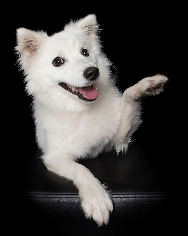 21. "Если уж махать, то со вкусом"