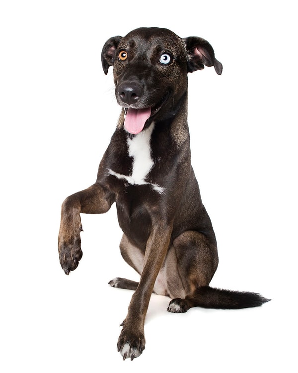 20. "Дай 5 снизу"