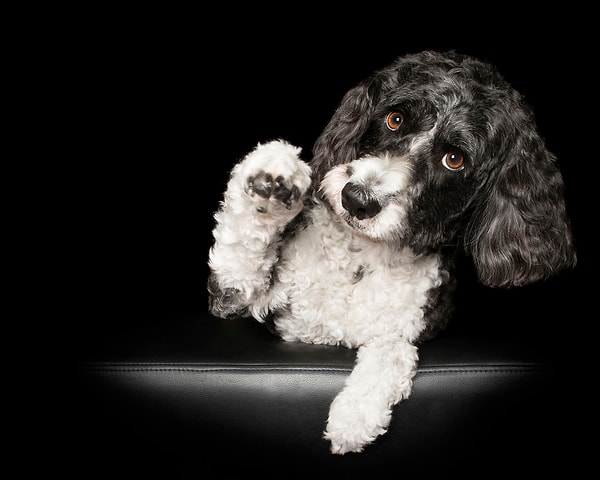 22. "Приятно познакомиться"