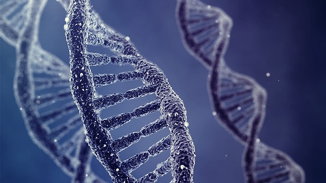 5. Virüs genleri DNA'mızda bulunuyor!