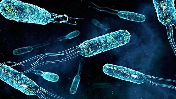 4. Yaşadığınız sürece vücudunuzda bulunarak organizmanıza arkadaşlık eden bakteriler, öldüğünüzde size tamamen düşman olacaklar.