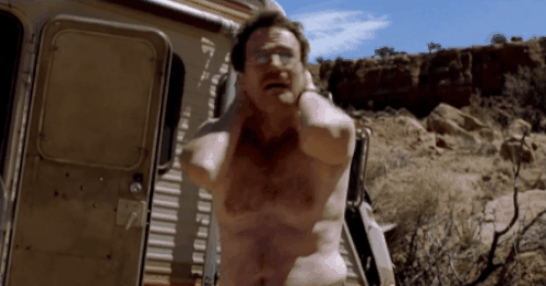 Breaking Bad / Walter White