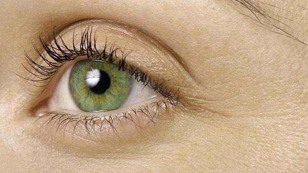 22. Yeşil, en nadir rastlanan göz rengidir. Dünyadaki insanların yalnızca %2'lik bir kısmı yeşil gözlere sahiptir.