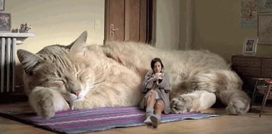 19 Maddeyle Rahat Bir Kanepenin Hayatımızdaki Beklenmedik Derin Anlamları