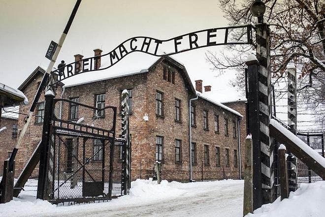 Auschwitz'te Yürek Burkan Keşif:  Bir Bardağın İçinde Yıllarca Saklı Kalmış Mücevher