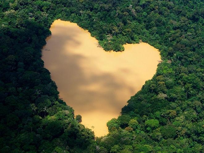 Çünkü Hepimiz Aynı Gemideyiz: Elin Norveç'i Brezilya'nın Amazon Ormanlarını Kurtarıyor