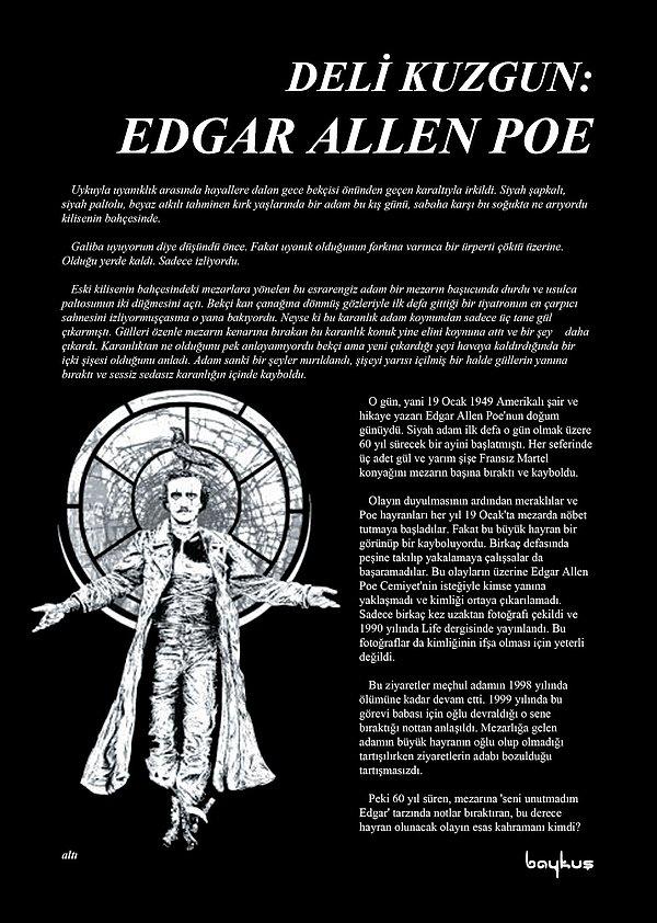 7. Deli Kuzgun: Edgar Allen Poe