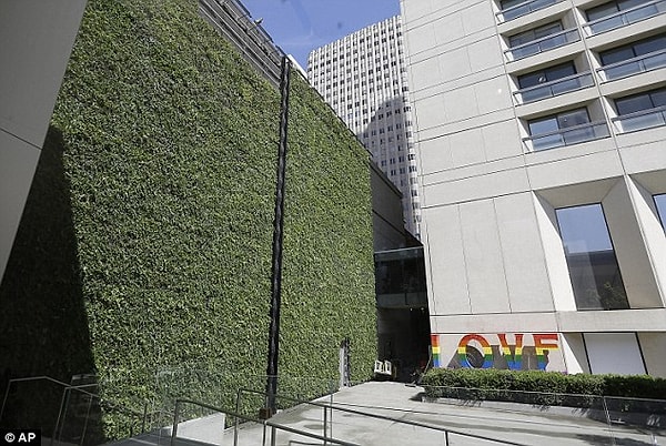 Зелёный экстерьер