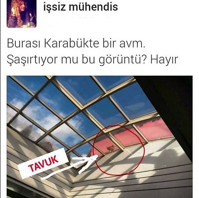 12. O tavuk orda ne arıyor?