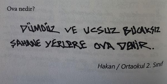 Bu Ortaokul Seviyesindeki Testi Yetişkinlerin %97'si Geçemiyor, Peki Sen?